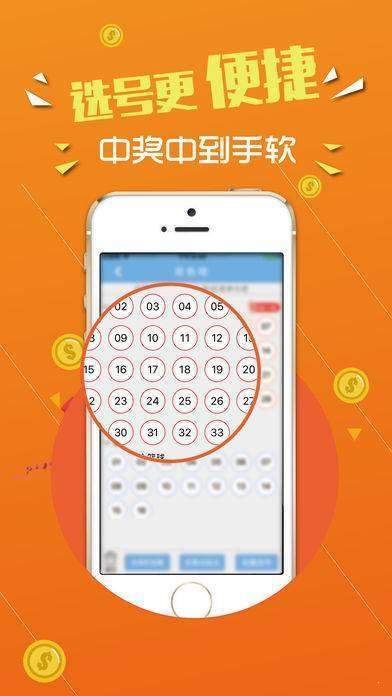 493333王中王王中王,实效设计计划_soft25.599