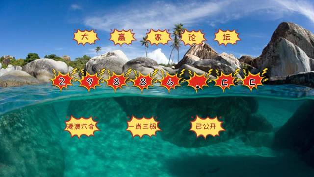 2025年澳门天天开好彩,现状分析说明_CT88.543