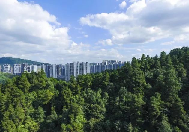 登高云山公园最新动态与独特体验分享