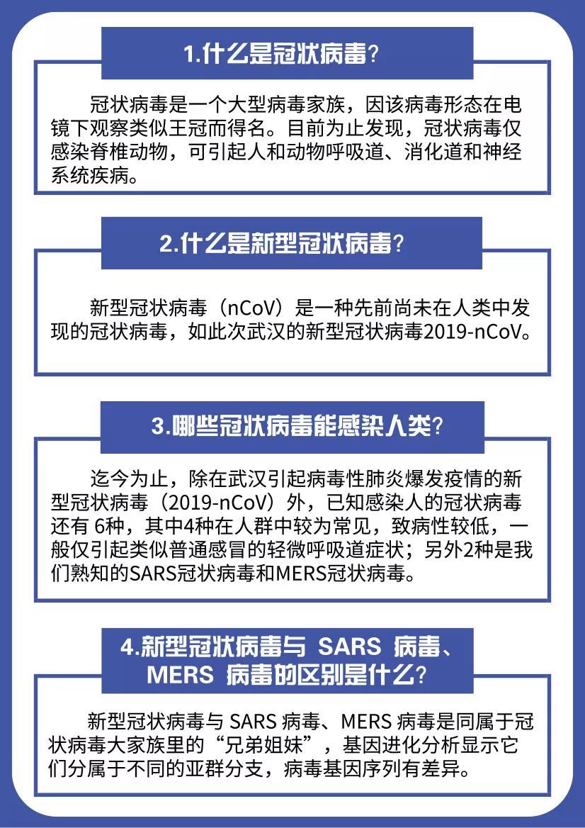 冠状病毒来源最新研究进展揭秘其起源之谜