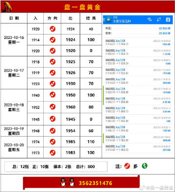 管家一肖100%期期中奖,持久性方案解析_复刻款96.918