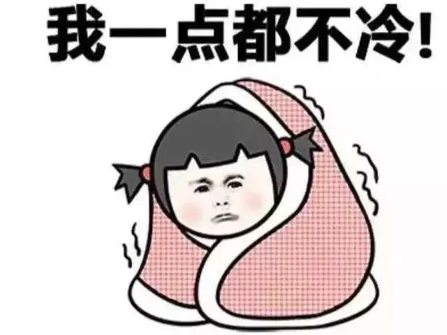抖阴最新版，引领短视频社交新时代的探索