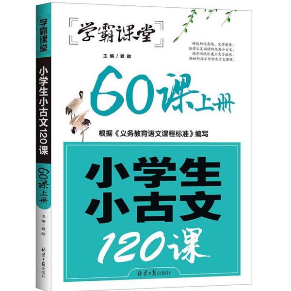 最新版小古文，传承与创新的完美融合