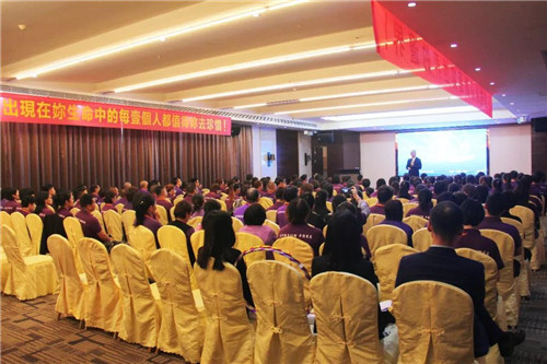 圣原最新情况概述，最新进展与特点分析