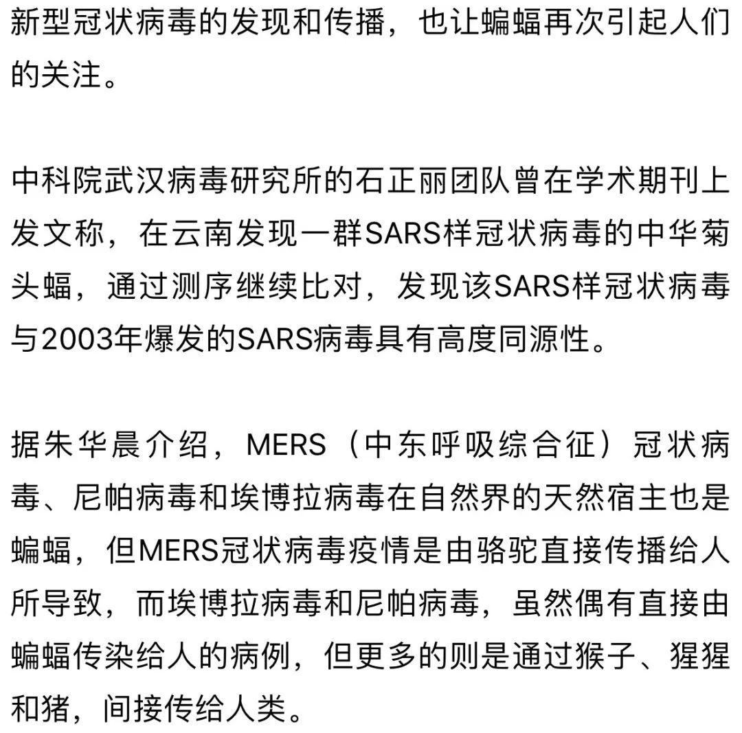 湛江新肺炎最新通报，疫情现状、应对措施及公众关注焦点解读