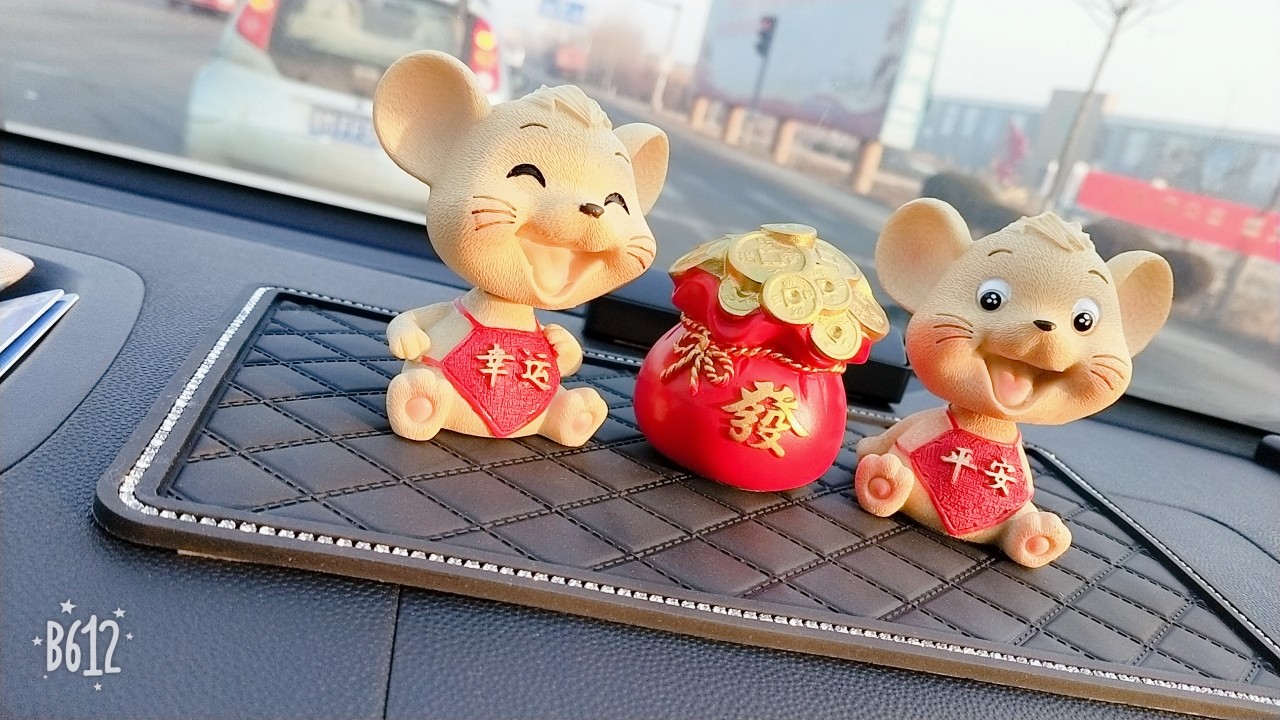 鼠你最新抖音，潮流萌宠新纪元开启！