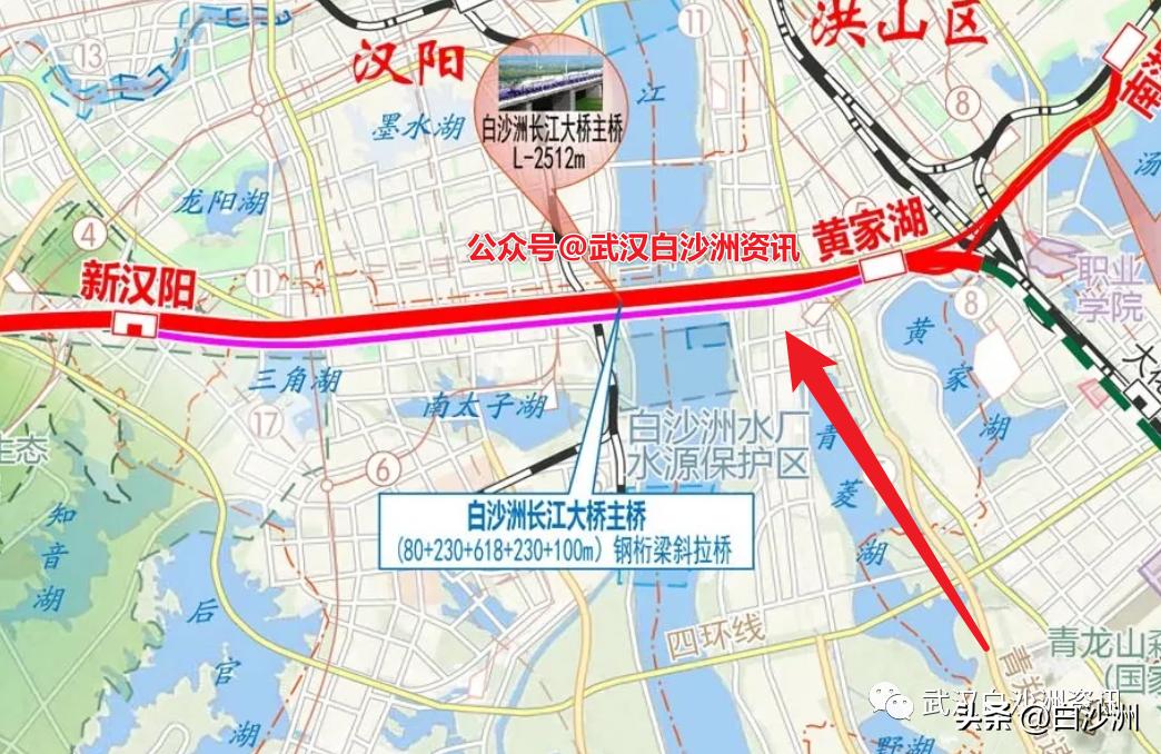 武肺最新情况全面解析与更新