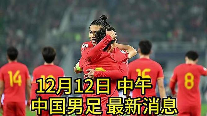 中国男足最新近况，挑战与机遇并存的发展之路