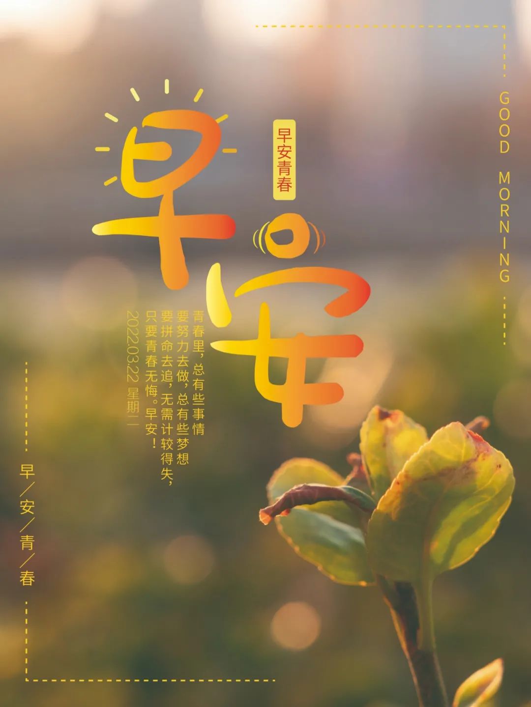 早安最新文案图片，开启美好一天的第一缕阳光