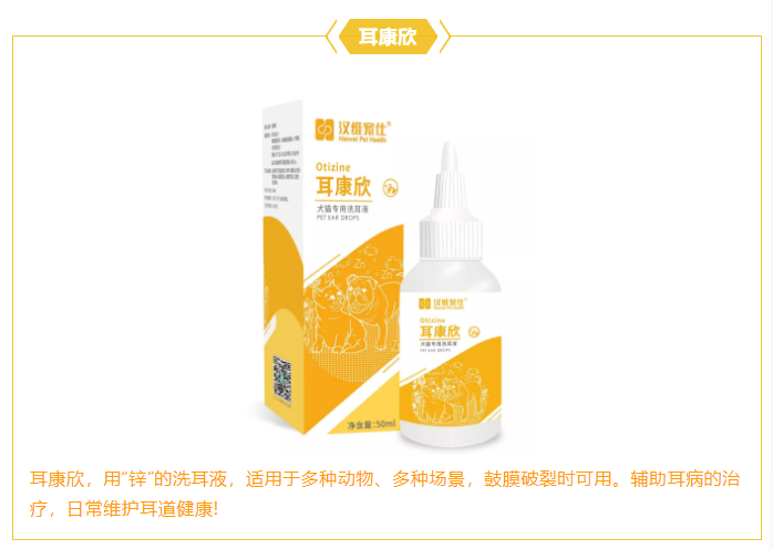 耳康最新动态，探索听力健康的最新进展与未来趋势