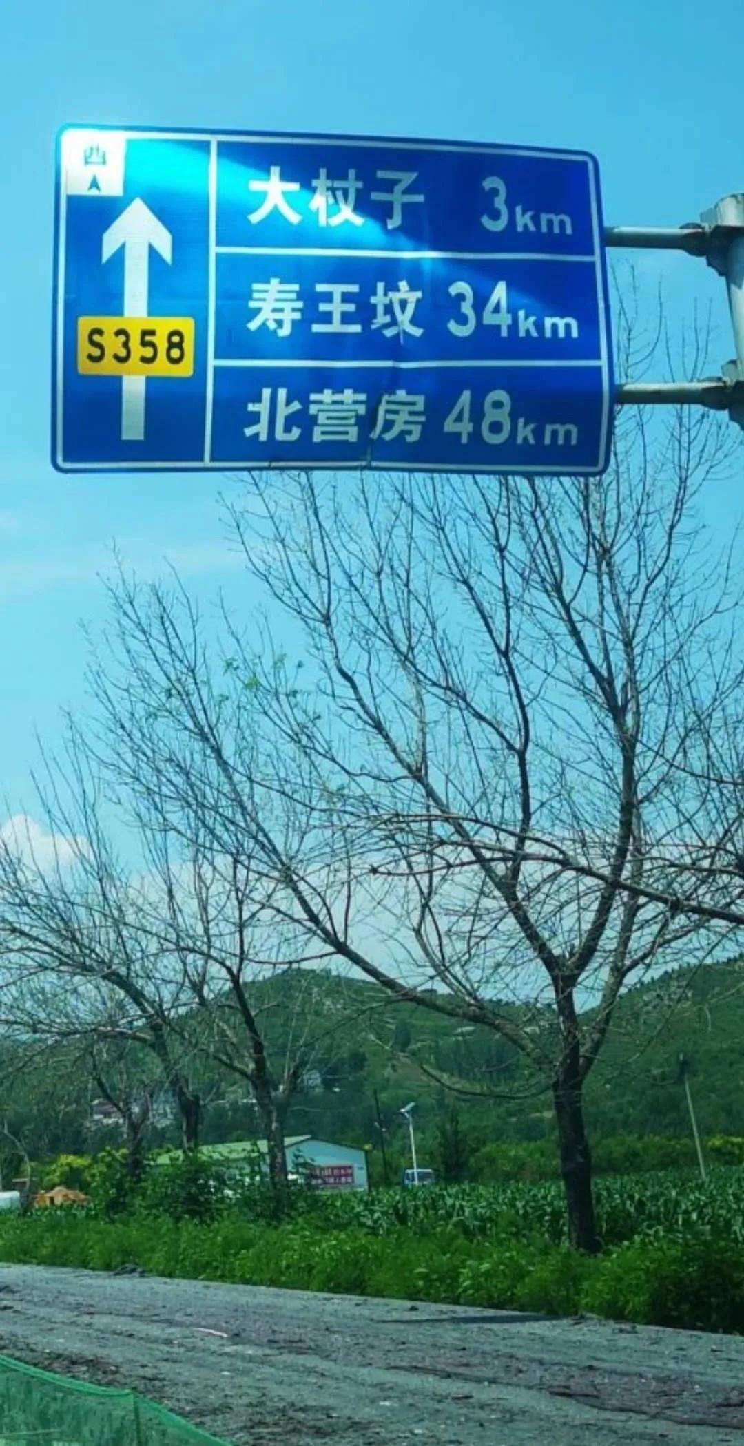寿王坟最新动态，历史与现代的交融展现