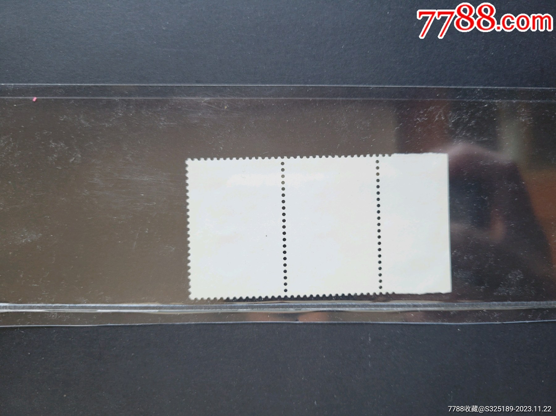 T69Y最新探索与发现概览