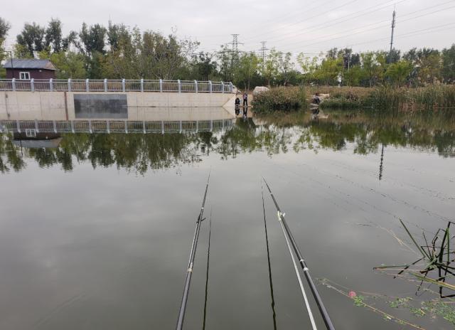 北京自然水域野钓之旅，探索最新钓鱼胜地