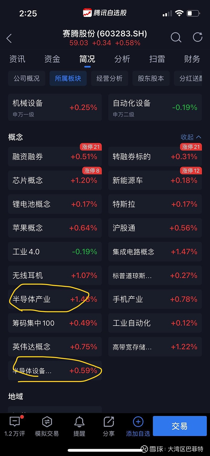 赛腾股票最新动态，市场走势分析与投资前景展望