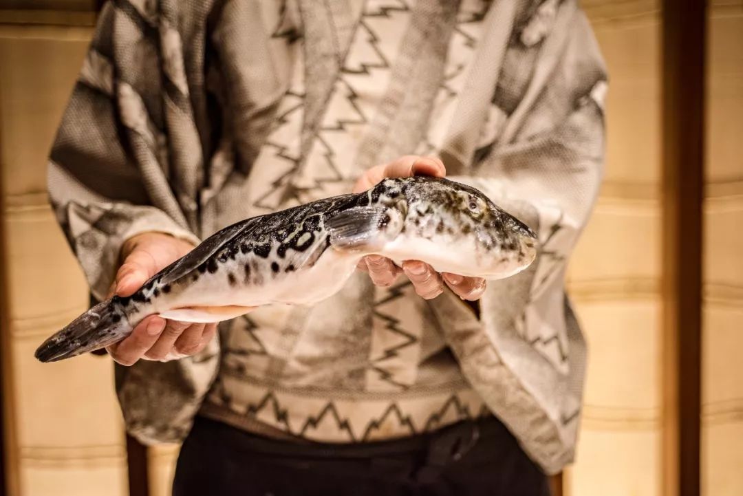 探索河豚美食新境界，最新烹饪方法揭秘