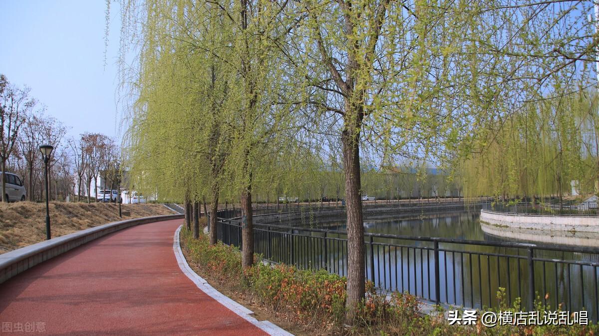 揭秘济宁最新房价走势与房地产市场深度解析（2019年）