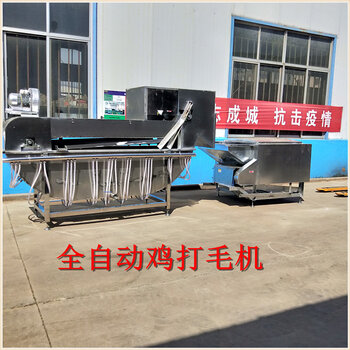 最新款脱毛机技术革新及在美容行业的应用前景展望