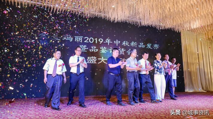 最新款金圣，重塑智能生活的全新典范