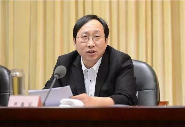 严书记最新情况深度解析与报道