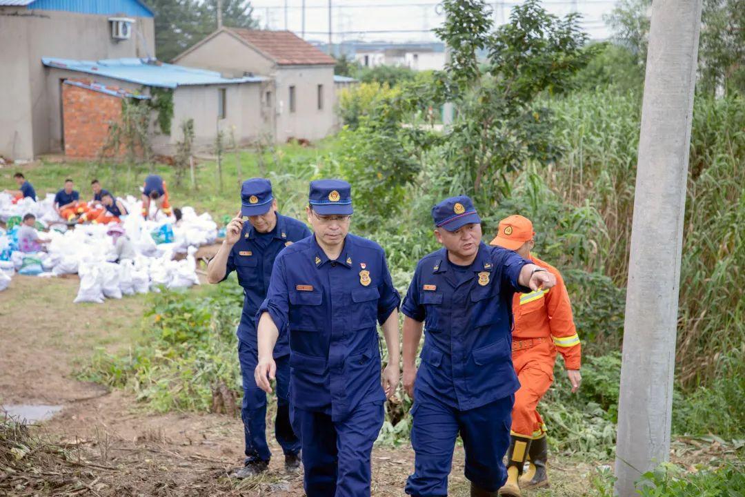 最新王家坝水位动态分析与实时更新