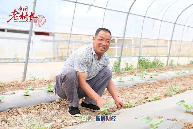花甲日志表记录人生美好时光最新汇总