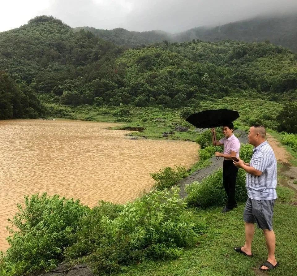 台风暴雨预警更新，如何应对与防范的指南