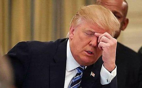 美国大选最新形势及分析综述