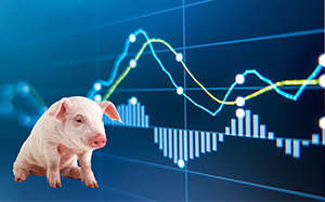 最新美猪肉价格动态分析与趋势预测