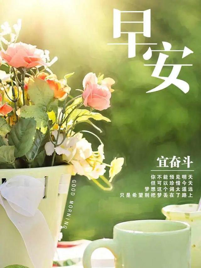 探索138社区，早安美图欣赏