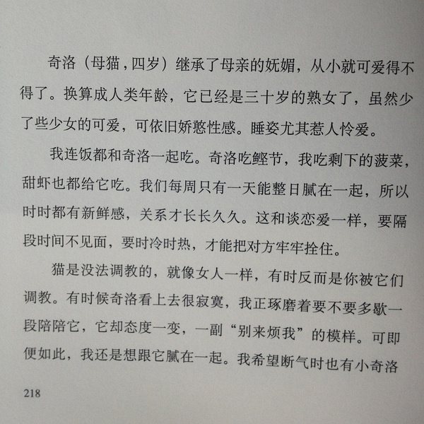 探寻现代婚恋浪漫之旅，请婚书最新章节