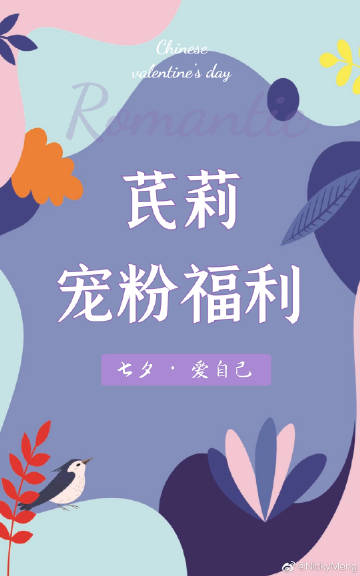 宠粉最新章节，深度解读粉丝文化，互动魅力无限