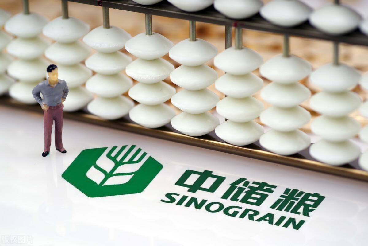 面粉市场动态更新，最新消息与分析