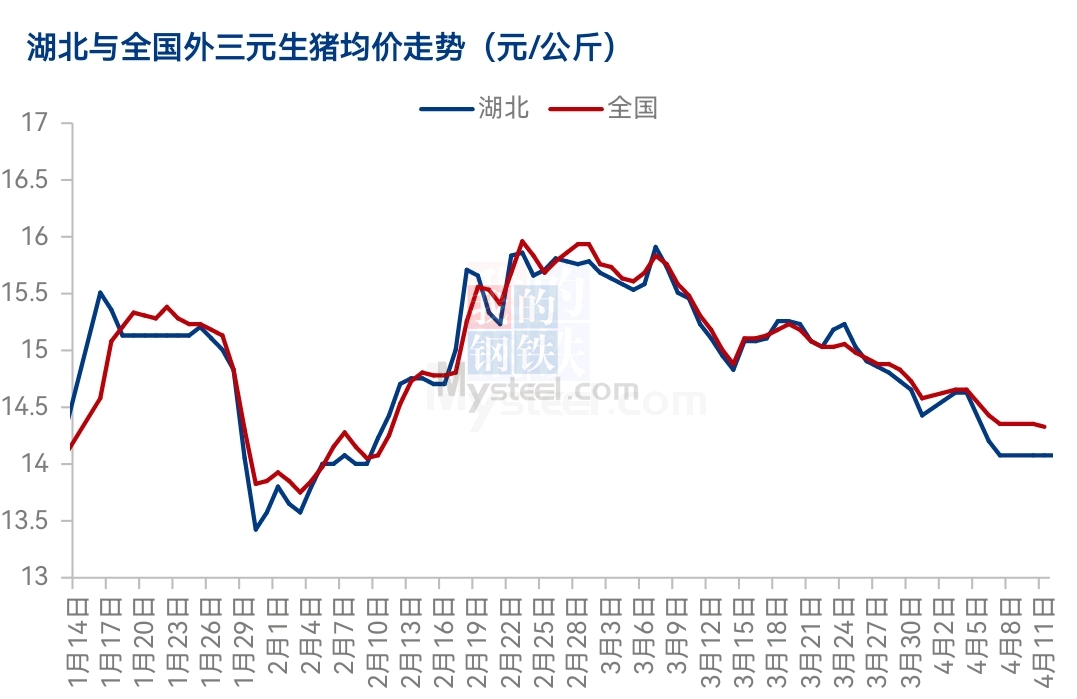 湖北猪价最新行情分析与趋势预测