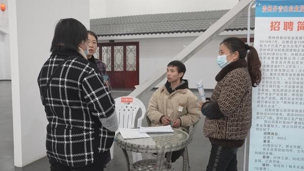 关岭最新招工信息及影响概述