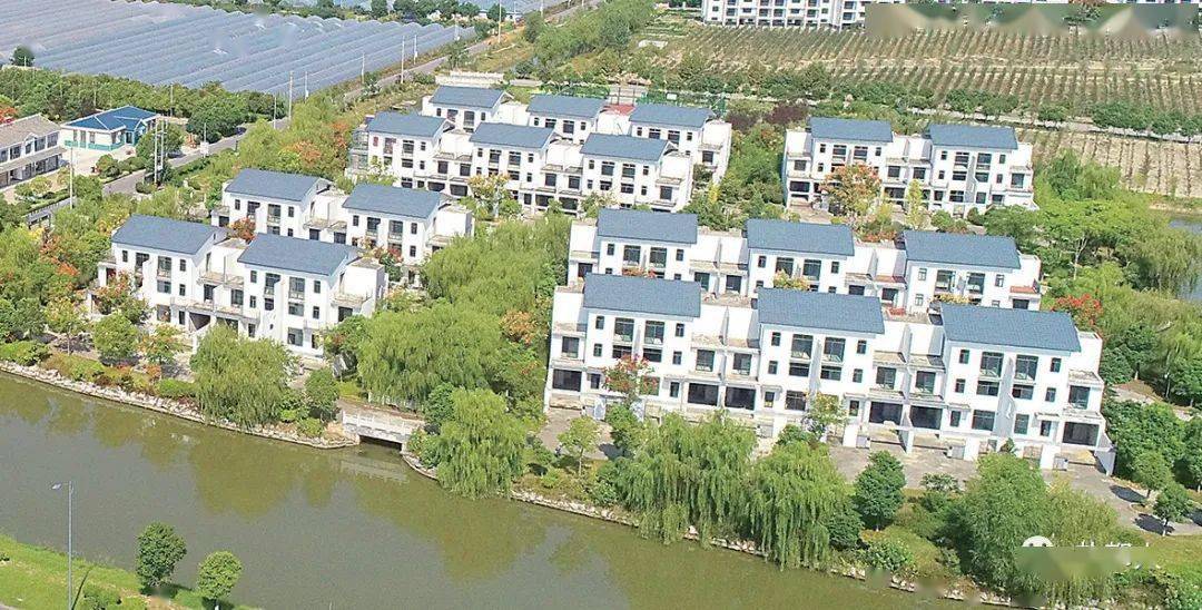 泗阳胡立彬的最新动态与成就概述
