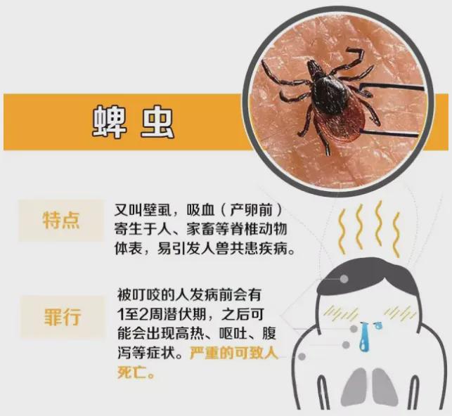 最新病毒性研究，挑战与机遇并存，探索未知领域