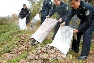 甘肃最新通缉令，正义追缉，守护安宁的奋战