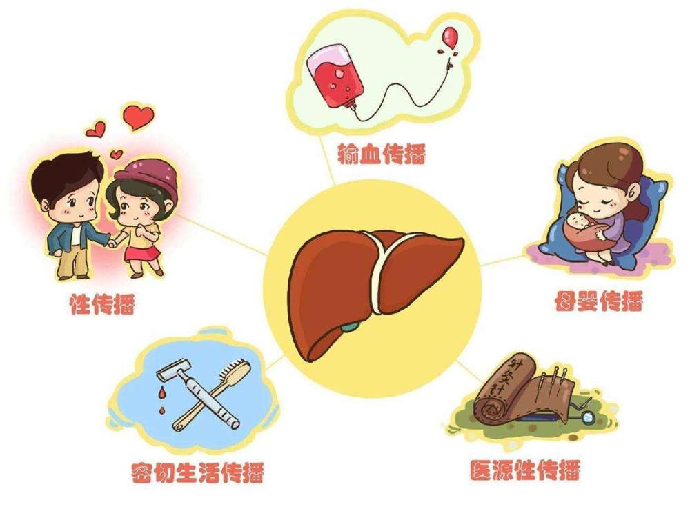 甲肝最新动态，研究、预防与治疗的新进展