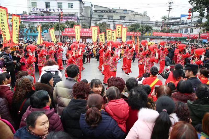 成都郫都区最新发展动态概览