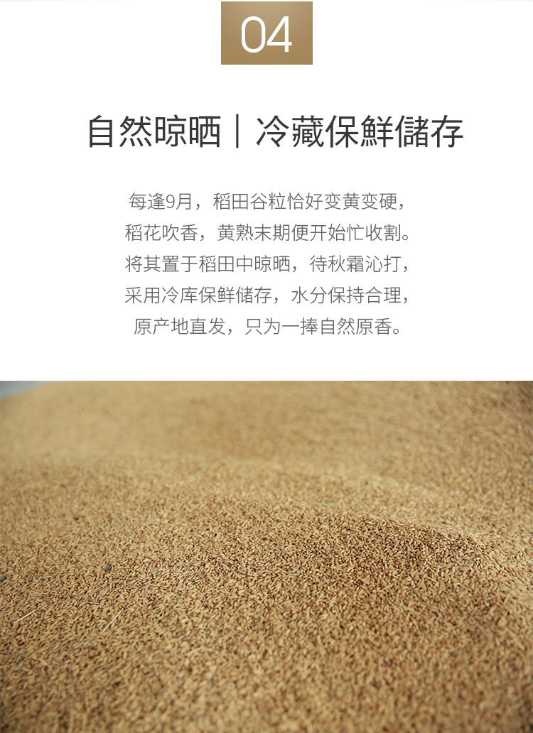 最新长粒香稻，种植技术、品质特性与未来发展趋势