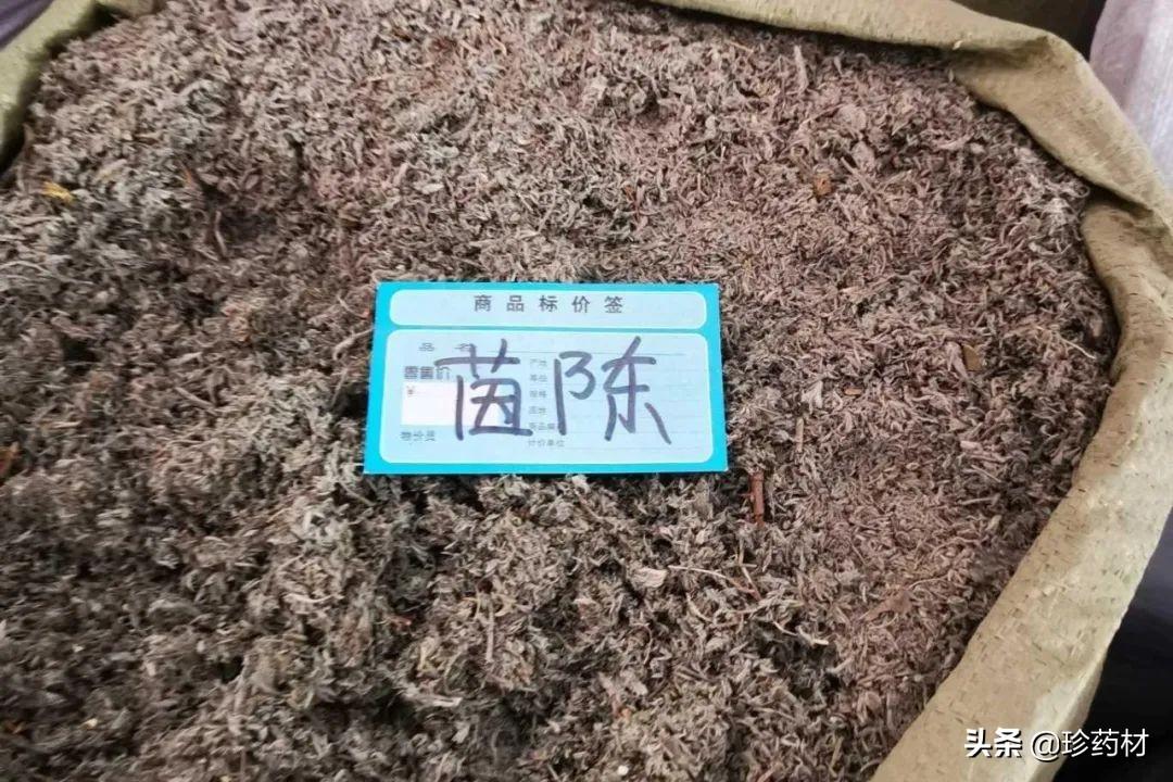 太子参最新价格动态及市场分析综述