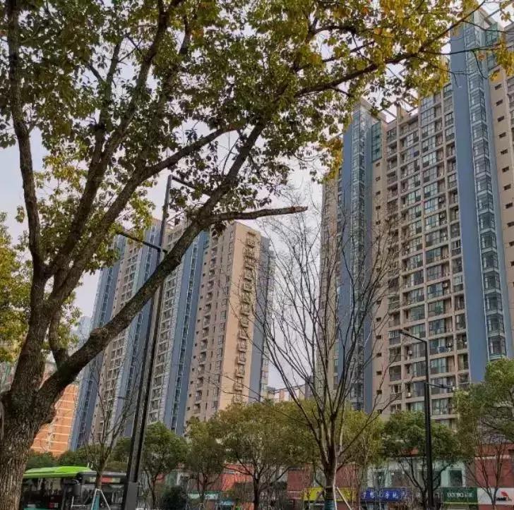 苏州园区房价最新走势及分析