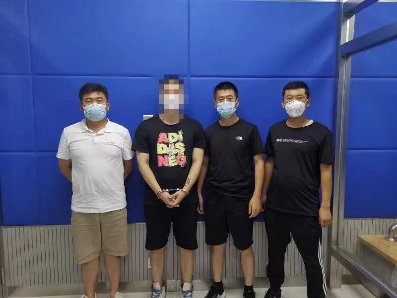最新网络灰产现象揭秘，影响与应对策略探讨