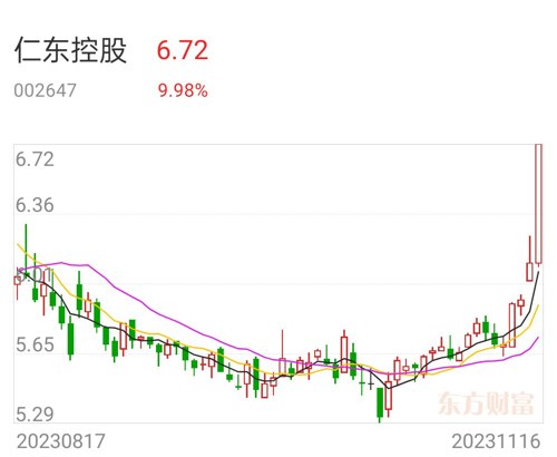 仁东控股深度解析，最新评论与前景展望