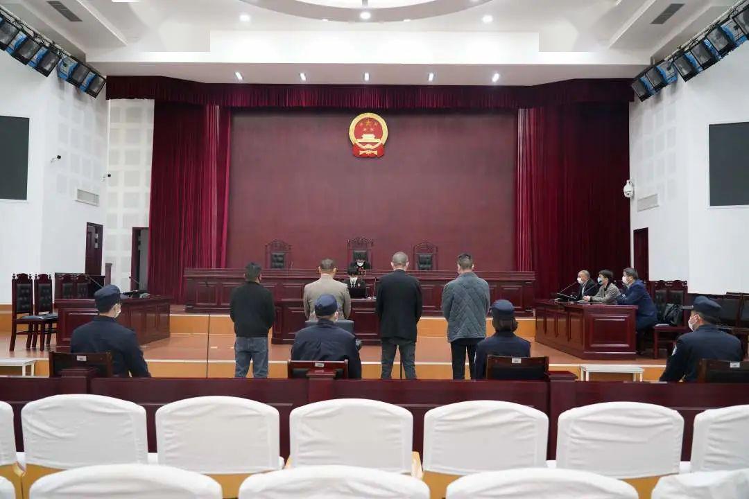 嘉兴最新案例，揭示城市发展的崭新篇章