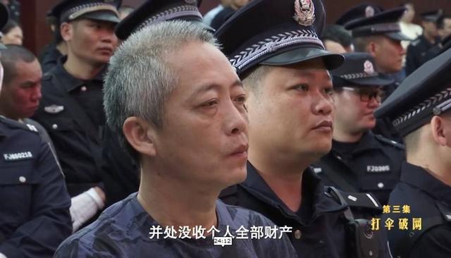 望城文烈宏最新动态及影响概述