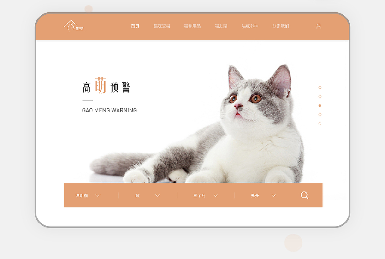 猫咪网最新版，探索全新猫咪世界的奇妙之旅