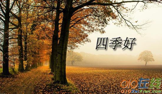四季优美最新，自然之韵的流转与新生之美