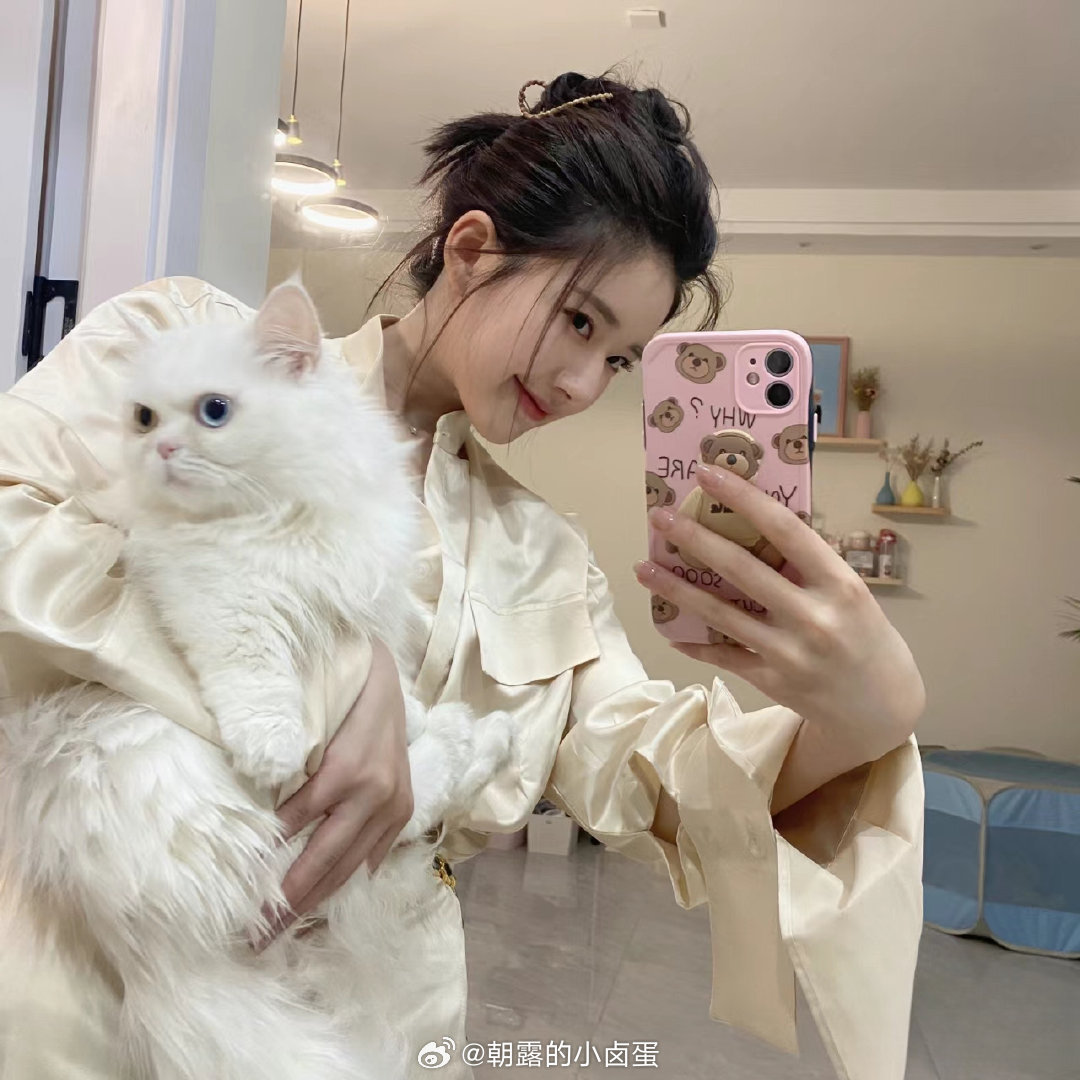 赵露思的萌宠新星，最新猫猫闪耀娱乐圈