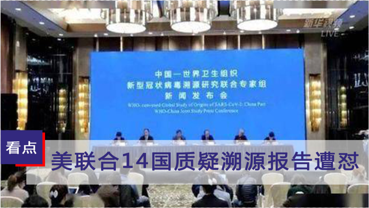 全球新冠疫情最新动态，全球报道与防控进展